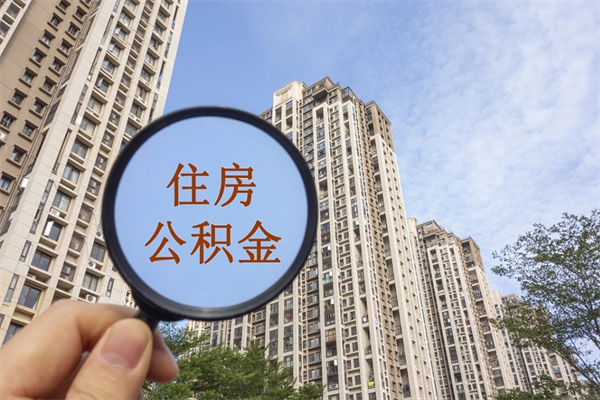 公积金还看征信吗吗_伊犁哈萨克公积金代办在职离职封存服务